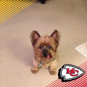 Meet your Posher, Luke